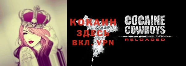 ALPHA PVP Белокуриха